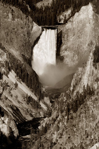 Lower Falls Yellowstone National Park