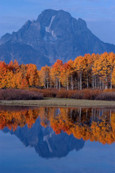 Oxbow Bend